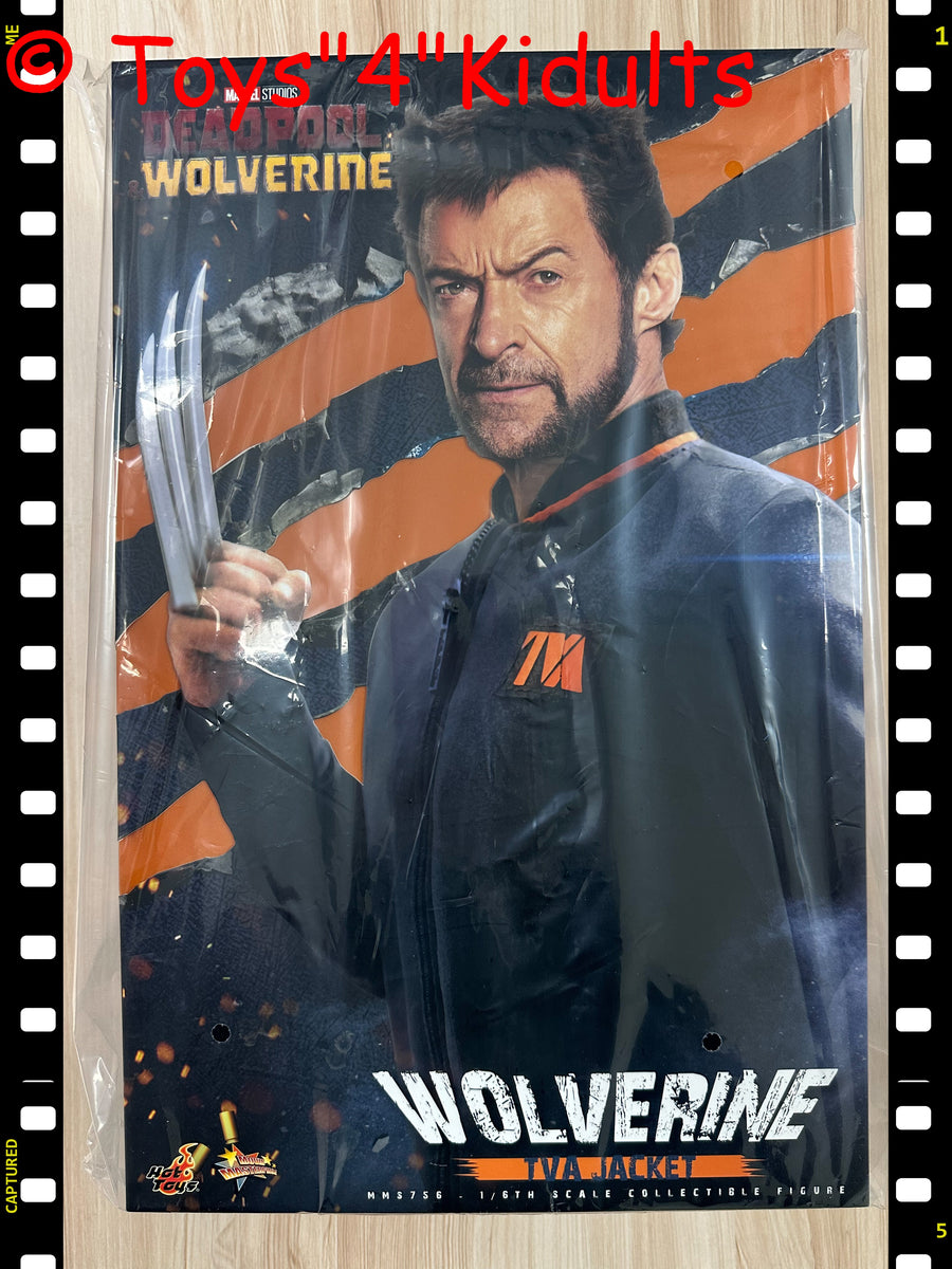 Hottoys Hot Toys 1/6 Scale MMS756 MMS 756 Deadpool & Wolverine