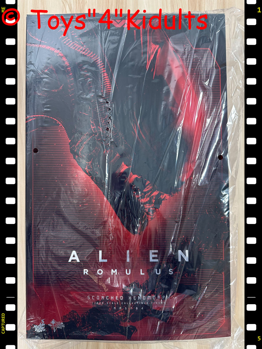 Hottoys Hot Toys 1/6 Scale MMS784 MMS 784 Alien: Romulus