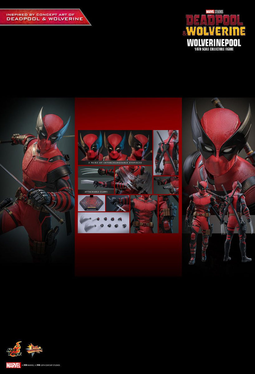 Hottoys Hot Toys 1/6 Scale MMS857 MMS 857 Deadpool & Wolverine