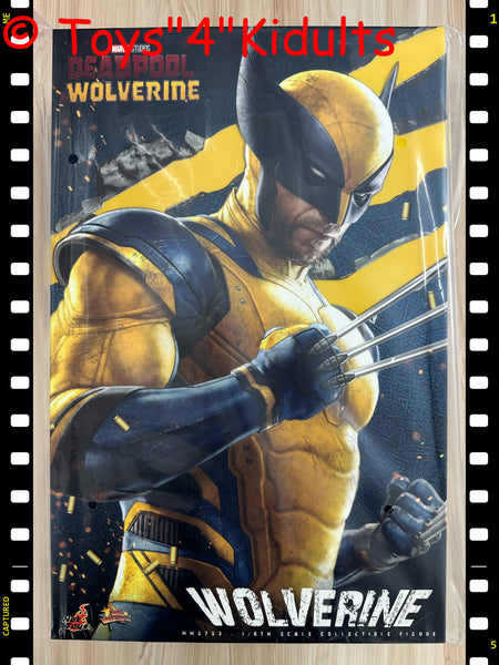 Hottoys Hot Toys 1/6 Scale MMS753 MMS 753 Deadpool & Wolverine - Wolverine (Collector Edition) Action Figure NEW