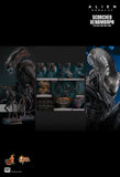 Hottoys Hot Toys 1/6 Scale MMS784 MMS 784 Alien: Romulus - Scorched Xenomorph Action Figure NEW