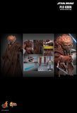 Hottoys Hot Toys 1/6 Scale MMS785 MMS 785 Star Wars Episode III Revenge of the Sith - Plo Koon Action Figure NEW
