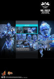 Hottoys Hot Toys 1/6 Scale MMS800 MMS 800 Batman & Robin - Mr. Freeze (Deluxe Version) Action Figure NEW