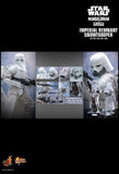 Hottoys Hot Toys 1/6 Scale MMS838 MMS 838 Star Wars The Mandalorian and Grogu - Imperial Remnant Snowtrooper Action Figure NEW