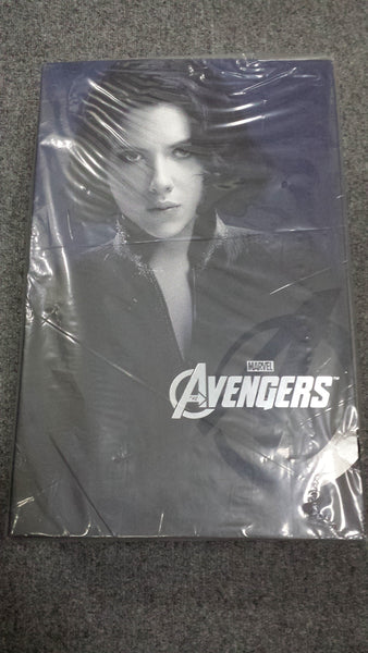 Hottoys Hot Toys 1/6 Scale MMS178 MMS 178 The Avengers - Black Widow Action Figure NEW