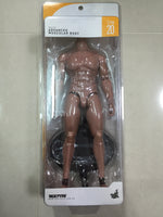 Hottoys Hot Toys 1/6 Scale TTM20 TTM 20 TrueType True Type Figure Body - Caucasian Male (Advanced Muscular Body Version) Action Figure NEW