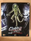 Hottoys Hot Toys 1/6 Scale Aliens vs. Predator AVP 2 Requiem - Predalien (Battle Damaged Version) Action Figure NEW