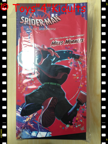 Hottoys Hot Toys 1/6 Scale MMS567 MMS 567 Spider-Man: Into the Spider-Verse - Spider-Man (Miles Morales) Action Figure NEW